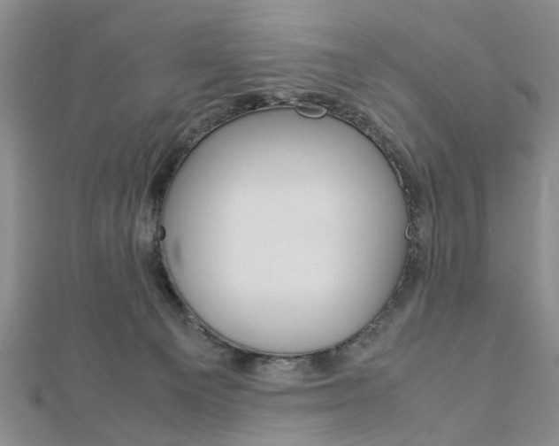 X0000113150129200909040940