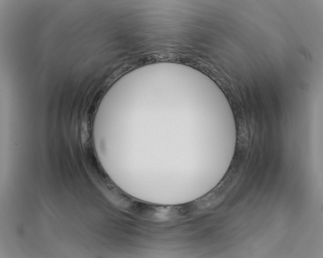 X0000113150130200909040940