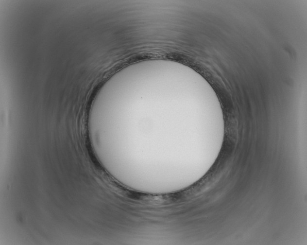X0000113150131200909040940