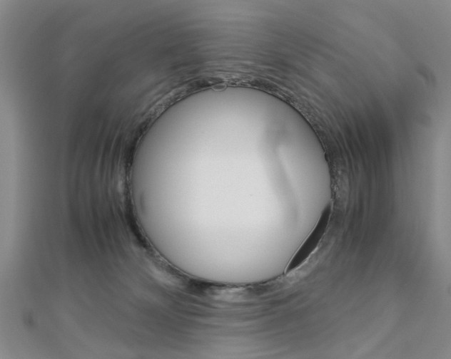 X0000113150132200909040940