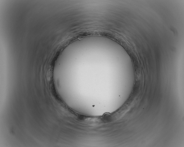 X0000113150133200909040940