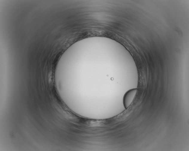 X0000113150134200909040940