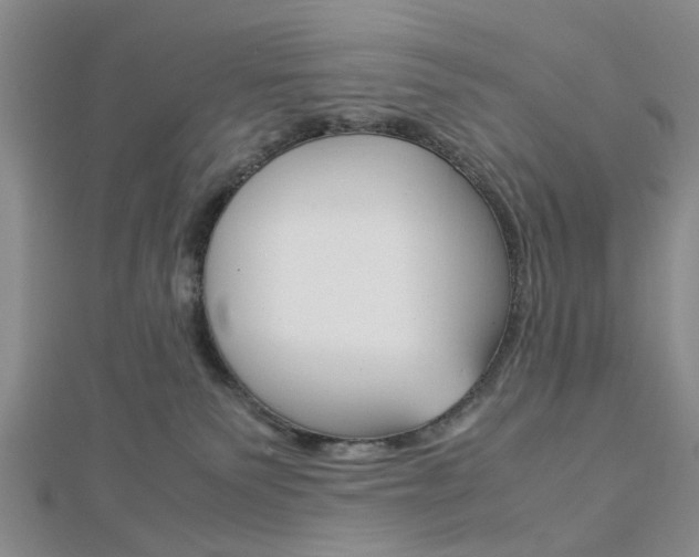 X0000113150135200909040940