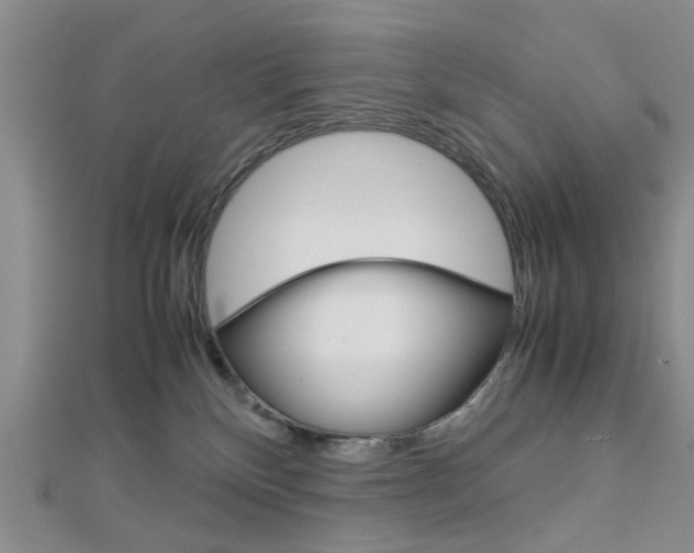 X0000113150136200909040940