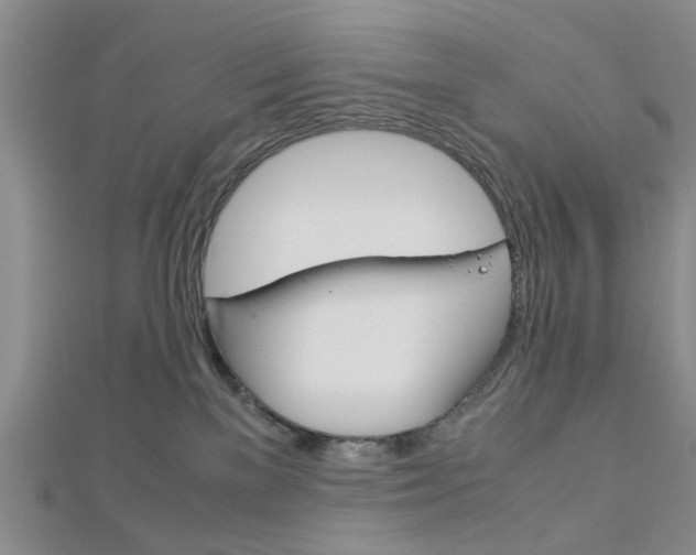 X0000113150137200909040940
