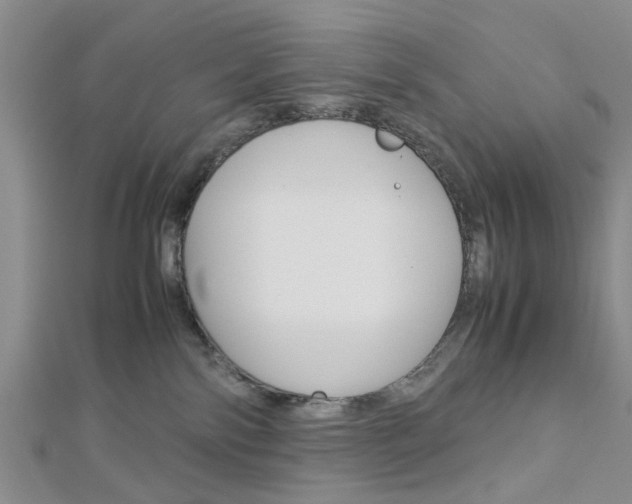 X0000113150138200909040940