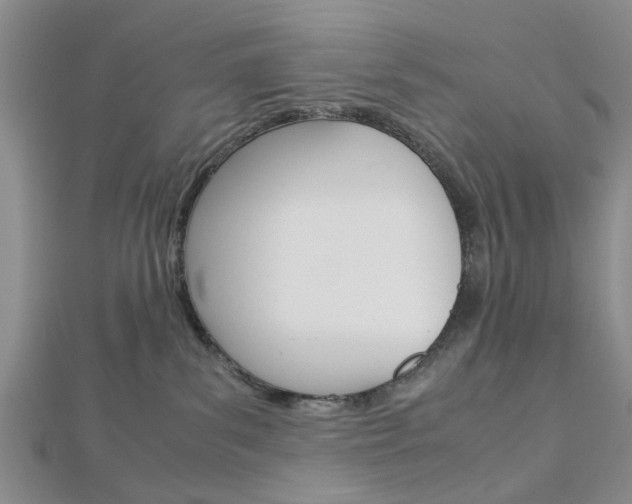 X0000113150139200909040940