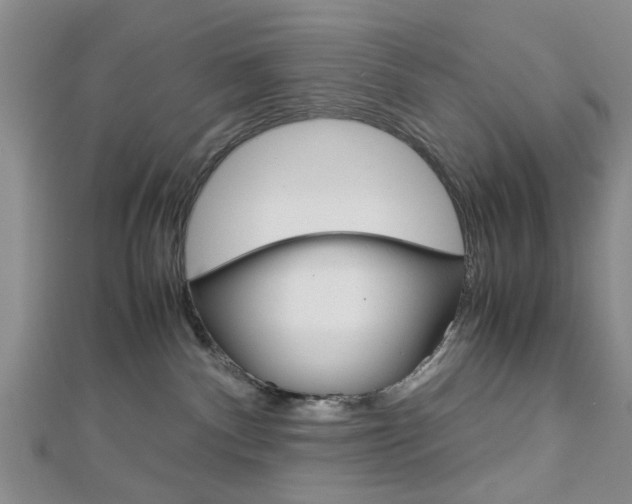 X0000113150140200909040939