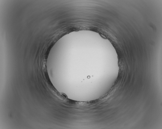 X0000113150141200909040939