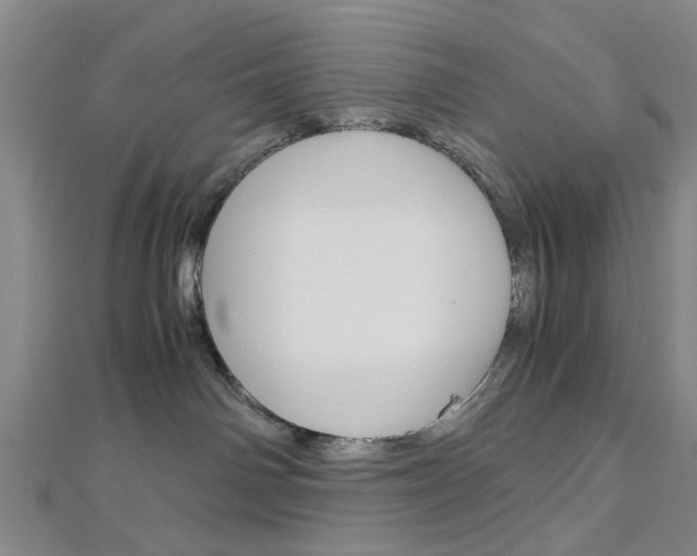X0000113150142200909040939