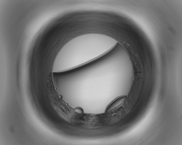 X0000113150143200909040939