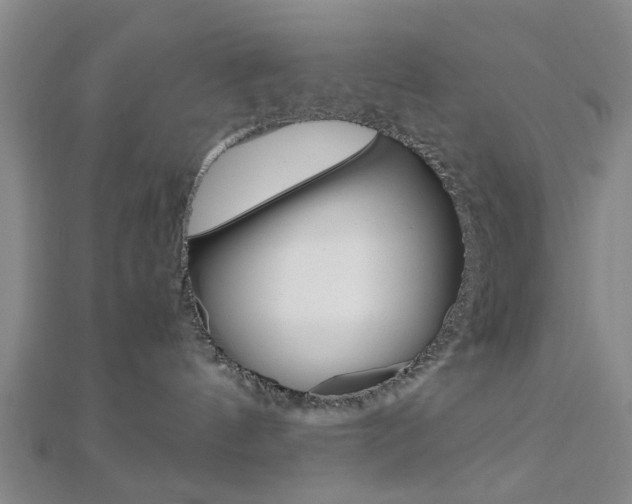 X0000113150144200909040939