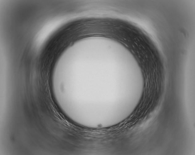 X0000113150146200909040939