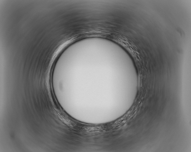 X0000113150147200909040939