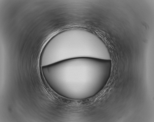 X0000113150148200909040939