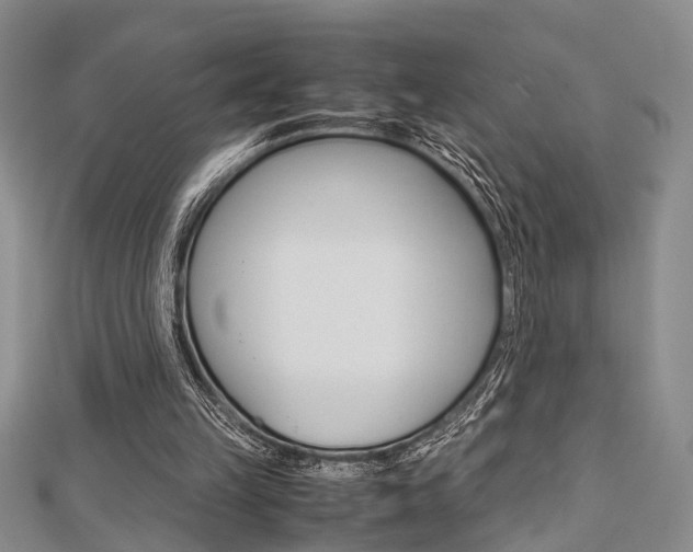 X0000113150149200909040939
