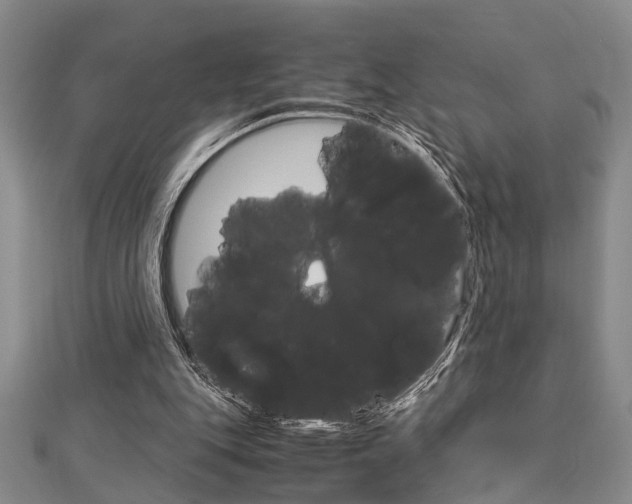 X0000113150151200909040939