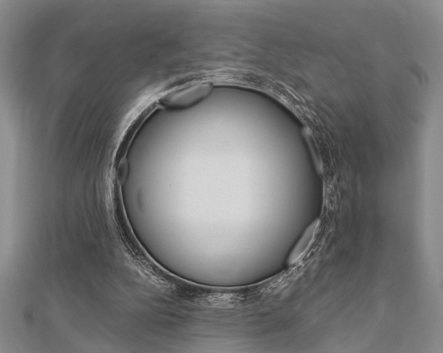 X0000113150152200909040939