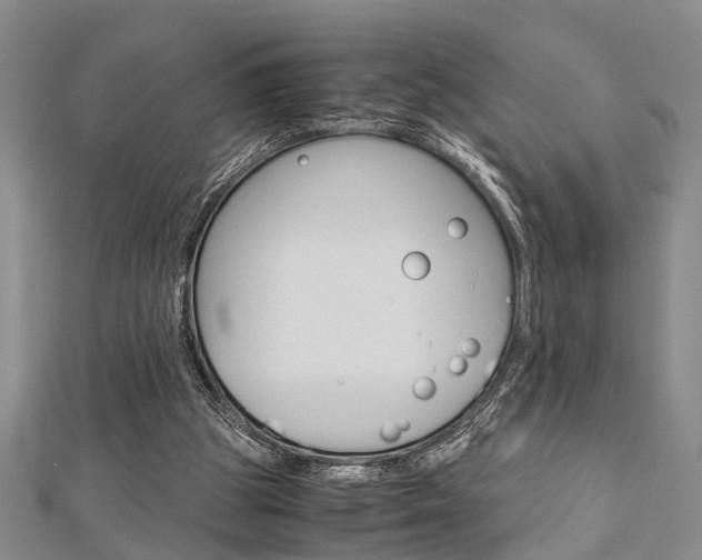 X0000113150153200909040939
