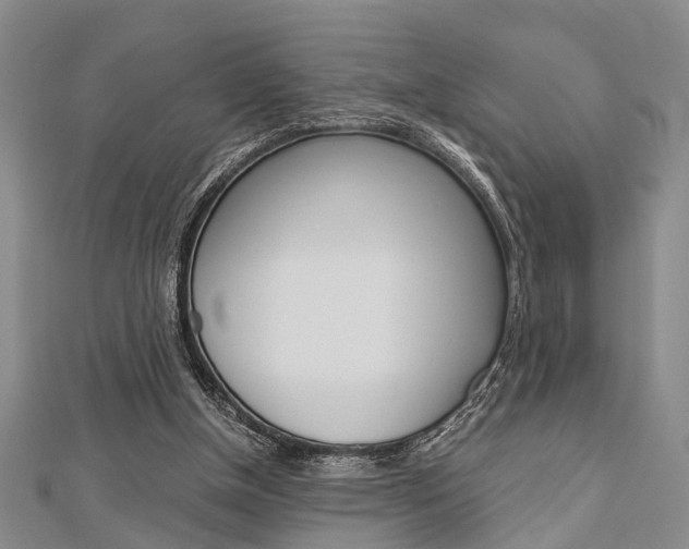 X0000113150154200909040939