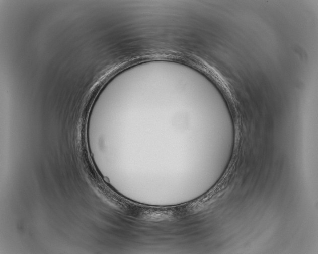 X0000113150155200909040939