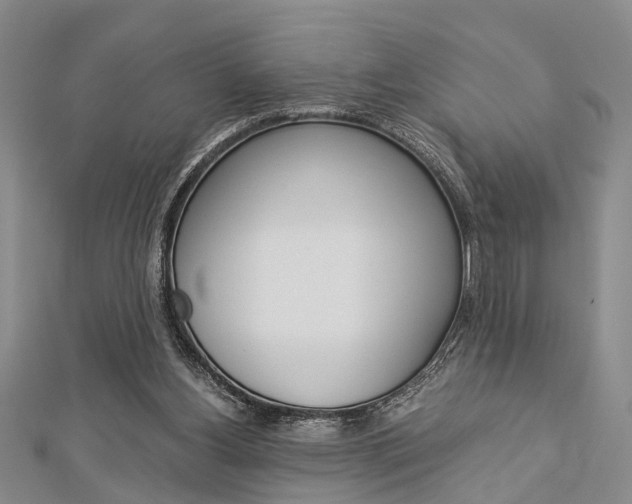 X0000113150156200909040939