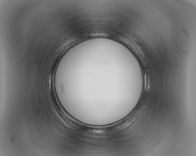 X0000113150157200909040939