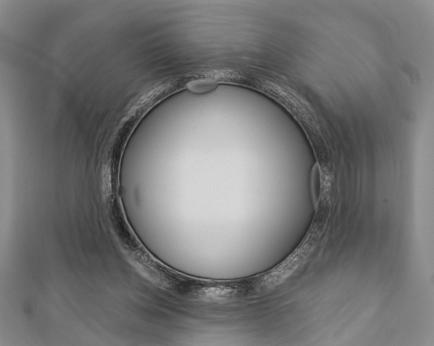 X0000113150158200909040939