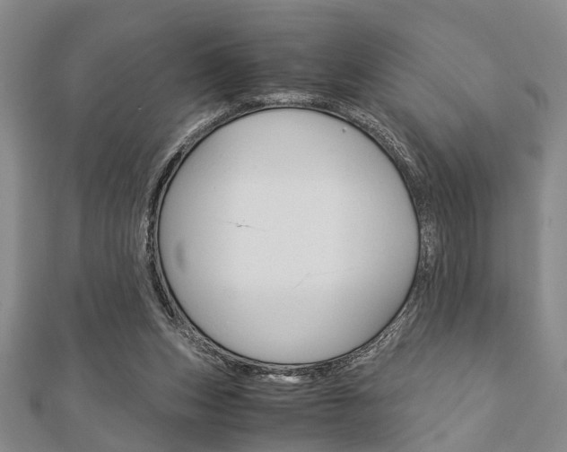 X0000113150159200909040939