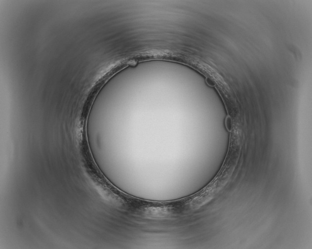 X0000113150160200909040939