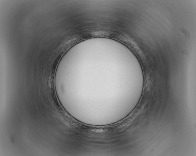 X0000113150161200909040939
