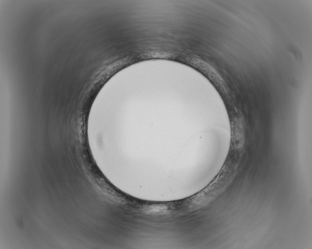 X0000113150162200909040939
