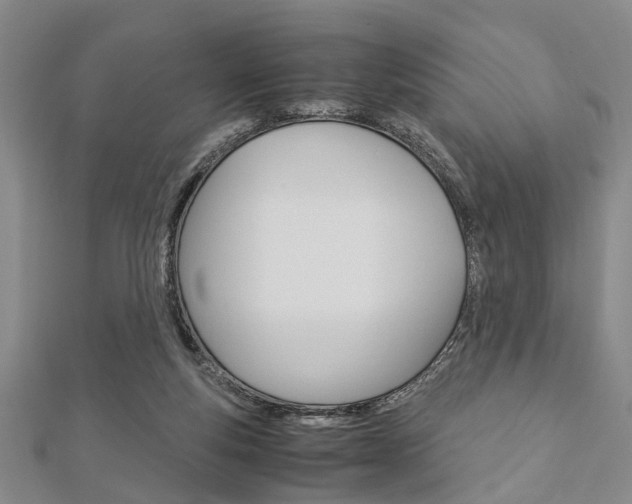 X0000113150163200909040939