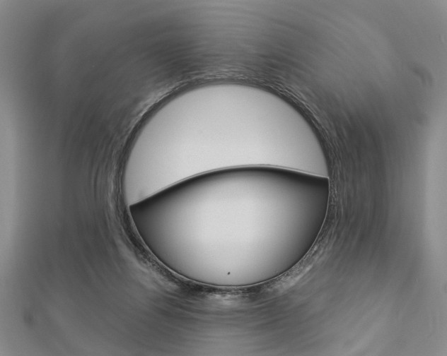 X0000113150164200909040939