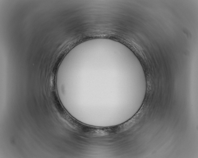 X0000113150166200909040939