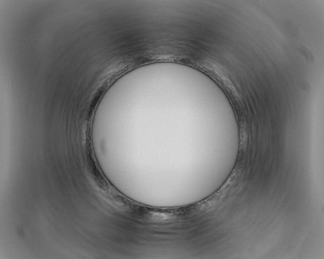 X0000113150167200909040939
