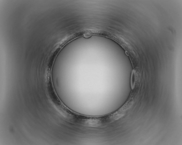 X0000113150168200909040939