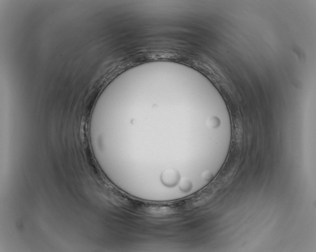 X0000113150169200909040939