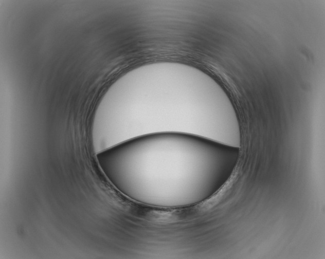 X0000113150170200909040939