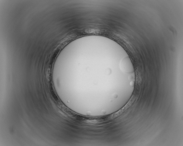 X0000113150171200909040939