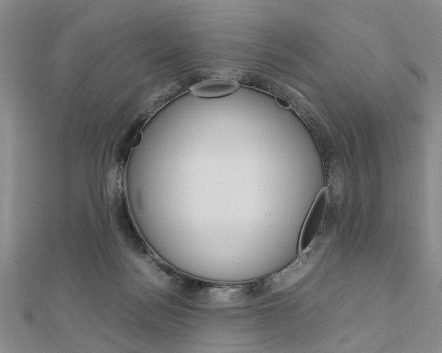 X0000113150172200909040939