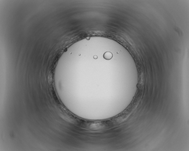 X0000113150173200909040939