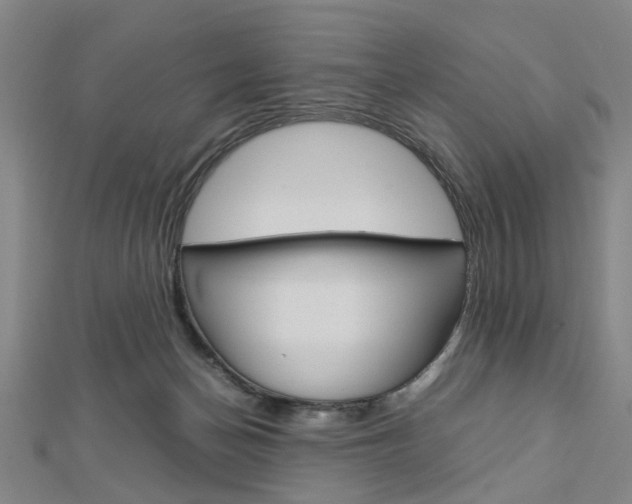X0000113150174200909040939