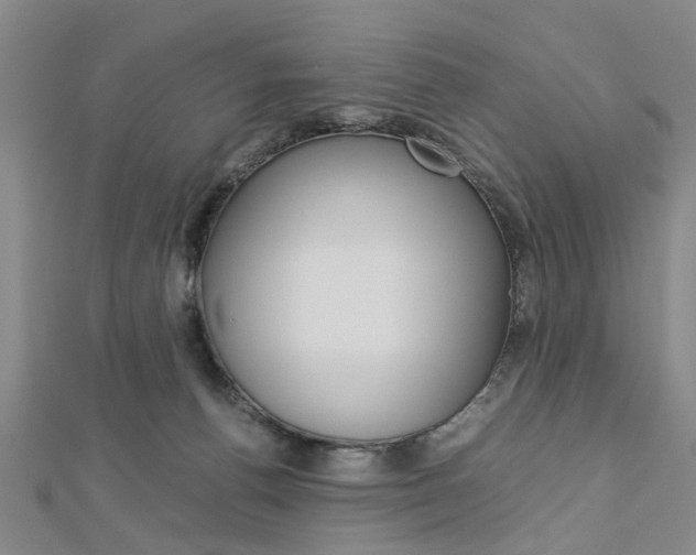 X0000113150176200909040939