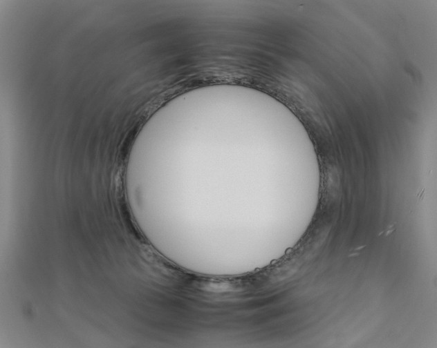 X0000113150177200909040939