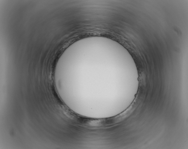 X0000113150178200909040939