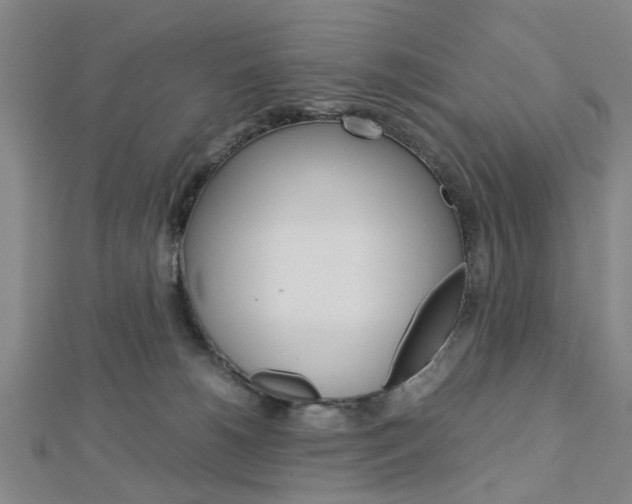 X0000113150180200909040939
