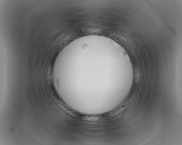X0000113150181200909040939