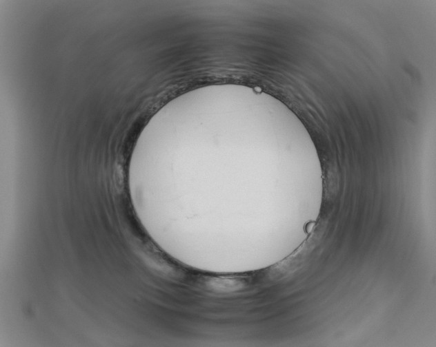X0000113150183200909040939