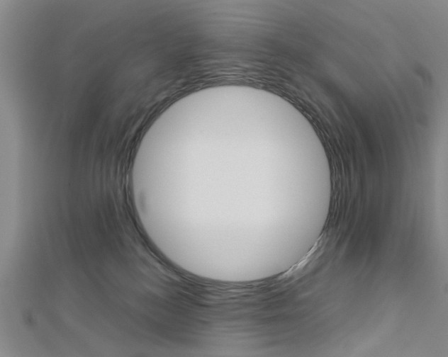 X0000113150184200909040939